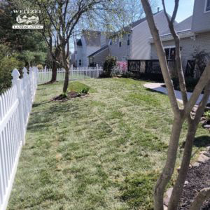 A neatly mowed backyard with green grass, white picket fencing, small trees, and two houses in the background on a sunny day.