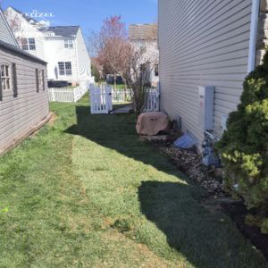 A narrow grassy path runs between two houses, with a shed on the left and a small tree and utility box on the right. A white gate and fence are visible at the end of the path.
